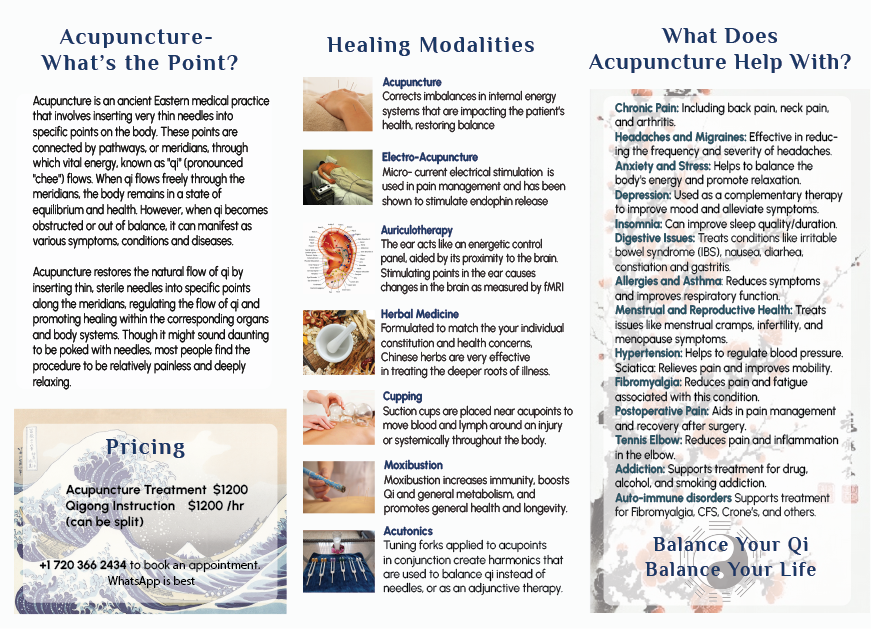 Orion Acupuncture Brochure